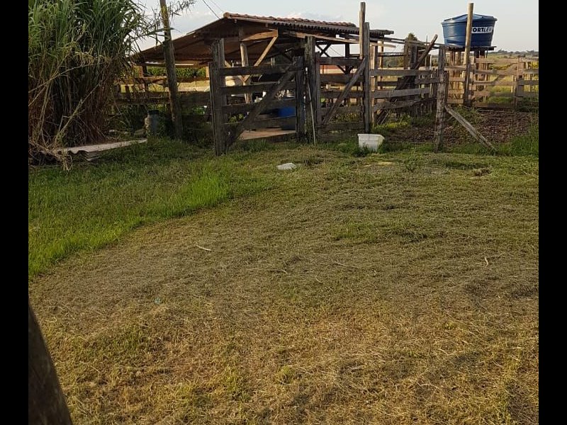 Sítio à venda Centro com 24000m² e 5 quartos por R$ 350.000 - 1314712363-whatsapp-image-2021-09-14-at-10.jpeg