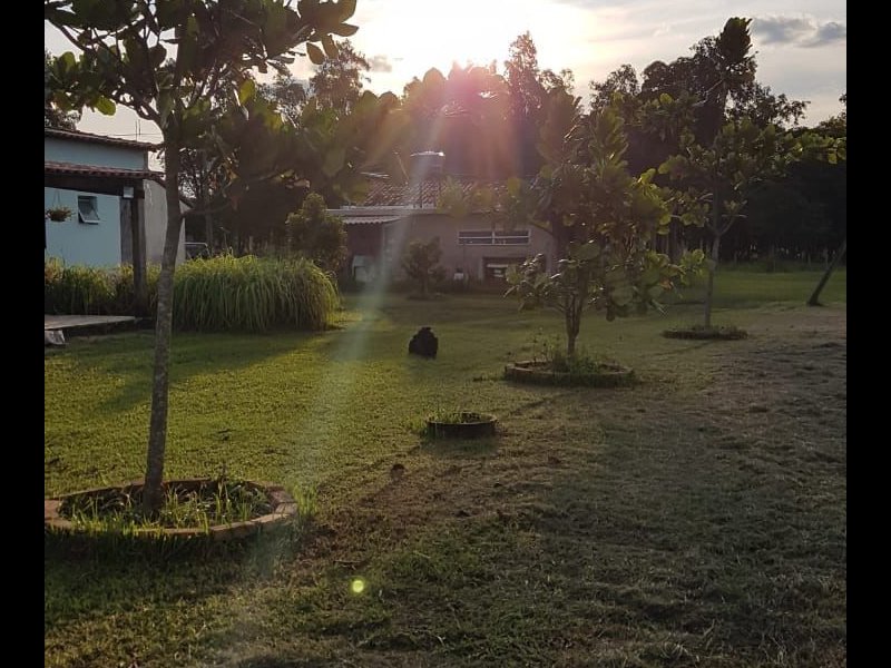 Sítio à venda Centro com 24000m² e 5 quartos por R$ 350.000 - 1325338133-whatsapp-image-2021-09-14-at-10.jpeg