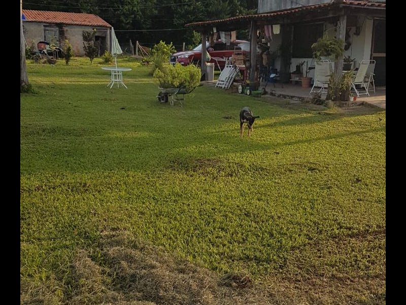 Sítio à venda Centro com 24000m² e 5 quartos por R$ 350.000 - 1325961989-whatsapp-image-2021-09-14-at-10.jpeg