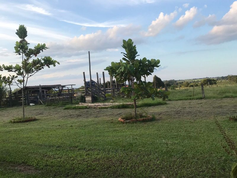 Sítio à venda Centro com 24000m² e 5 quartos por R$ 350.000 - 1377315472-whatsapp-image-2021-09-14-at-10.jpeg