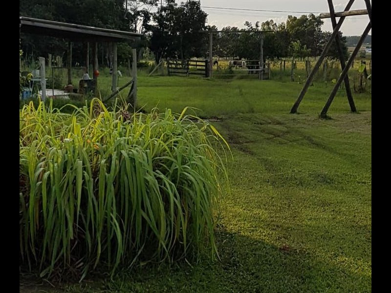 Sítio à venda Centro com 24000m² e 5 quartos por R$ 350.000 - 1451737361-whatsapp-image-2021-09-14-at-10.jpeg