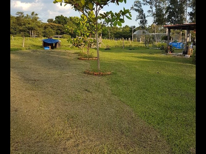 Sítio à venda Centro com 24000m² e 5 quartos por R$ 350.000 - 1893518466-whatsapp-image-2021-09-14-at-10.jpeg