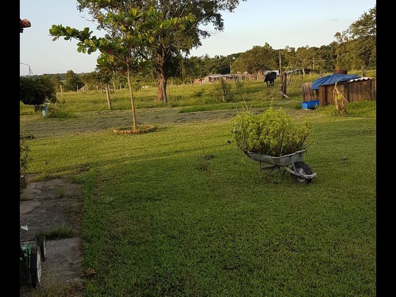 Sítio à venda Centro com 24000m² e 5 quartos por R$ 350.000 - 255582187-whatsapp-image-2021-09-14-at-10.jpeg