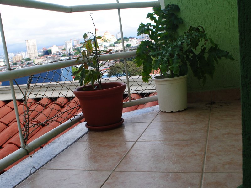 imóvel com 240m² - Vila Aricanduva - São Paulo