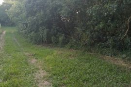Terreno à venda Cadiz com 1146m² - 1 dormitório -  vagas - R$ 75.000 - 1253161962-20221217-164203.jpg