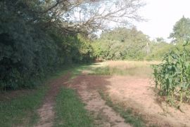 Terreno à venda Cadiz com 1146m² - 1 dormitório -  vagas - R$ 75.000 - 1404541917-20221217-164024.jpg