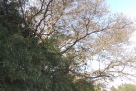 Terreno à venda Cadiz com 1146m² - 1 dormitório -  vagas - R$ 75.000 - 674695607-20221217-164157.jpg