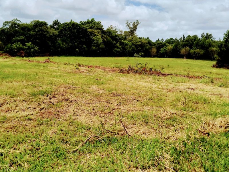 imóvel com 1300m² - Cadiz - Gravatai
