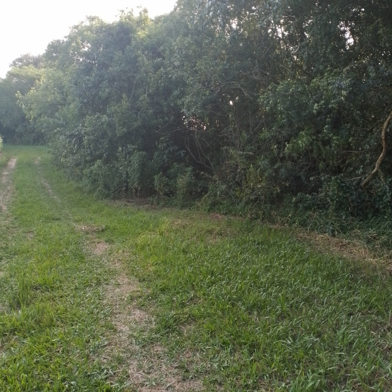 Terreno à venda Cadiz com 1146m² e 1 quarto por R$ 75.000 - 1253161962-20221217-164203.jpg