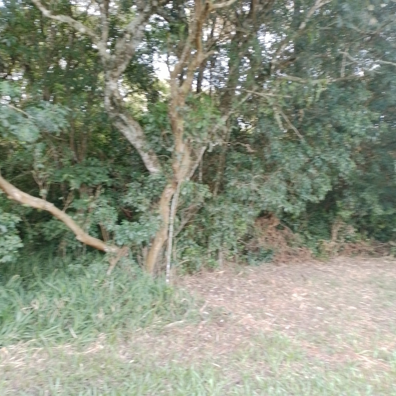 Terreno à venda Cadiz com 1146m² e 1 quarto por R$ 75.000 - 1279491789-20221217-164018.jpg