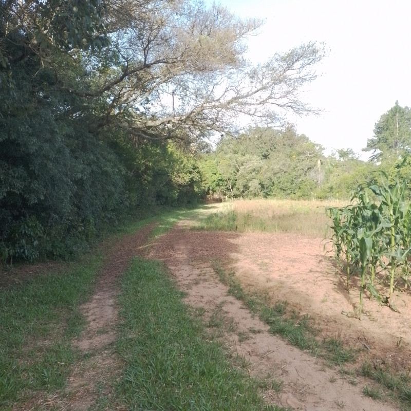 Terreno à venda Cadiz com 1146m² e 1 quarto por R$ 75.000 - 1404541917-20221217-164024.jpg