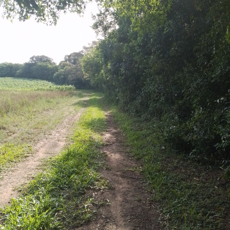 Terreno à venda Cadiz com 1146m² e 1 quarto por R$ 75.000 - 1724664258-20221217-163741.jpg