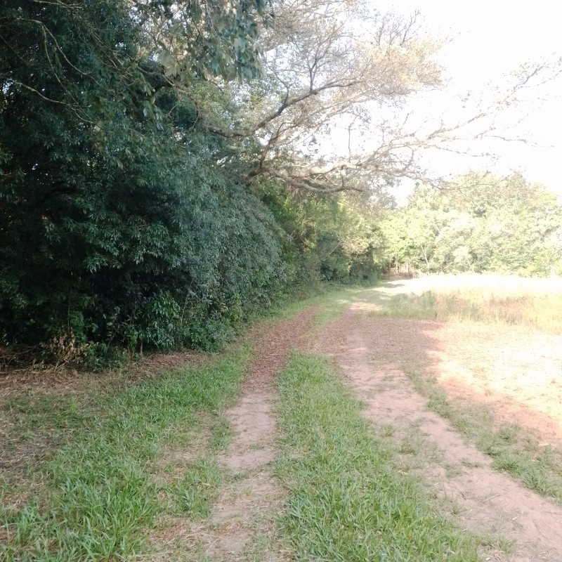 Terreno à venda Cadiz com 1146m² e 1 quarto por R$ 75.000 - 1975134324-20221217-164022.jpg