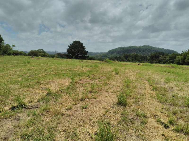 imóvel com 1300m² - Cadiz - Gravatai