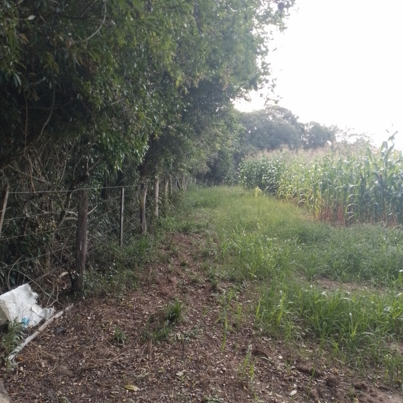 Terreno à venda Cadiz com 1146m² e 1 quarto por R$ 75.000 - 410080700-20221217-164351.jpg