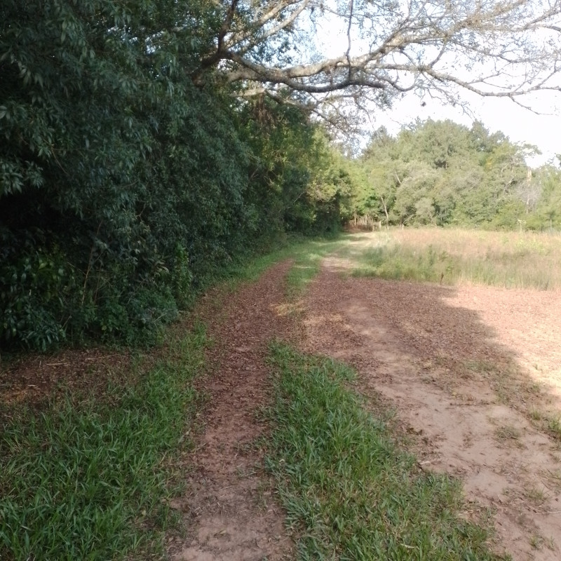 Terreno à venda Cadiz com 1146m² e 1 quarto por R$ 75.000 - 732836573-20221217-164153.jpg