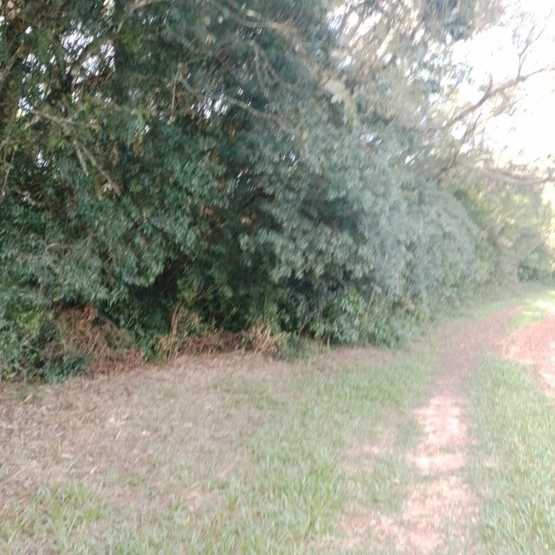 Terreno à venda Cadiz com 1146m² e 1 quarto por R$ 75.000 - 941374382-20221217-164020.jpg
