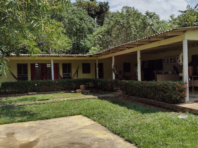 Chácara à venda Centro com 1200m² e 3 quartos por R$ 200.000 - 1180681944-b06d2d17-dd61-4384-bd1d-1b6cc35a530b.jpg