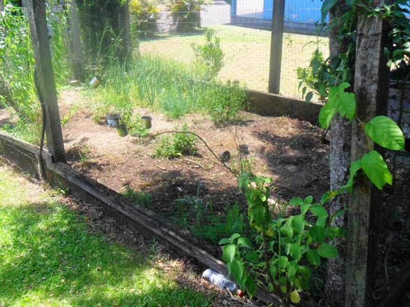 Sítio à venda centro com 1000m² e 2 quartos por R$ 260.000 - 113559496-sam-2860.JPG