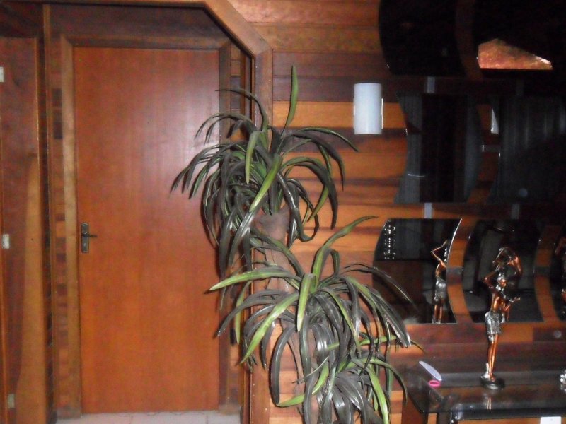 Sítio à venda centro com 1000m² e 2 quartos por R$ 260.000 - 708839153-sam-0034.JPG