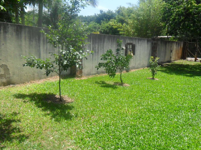 Sítio à venda centro com 1000m² e 2 quartos por R$ 260.000 - 919900136-sam-2881.JPG