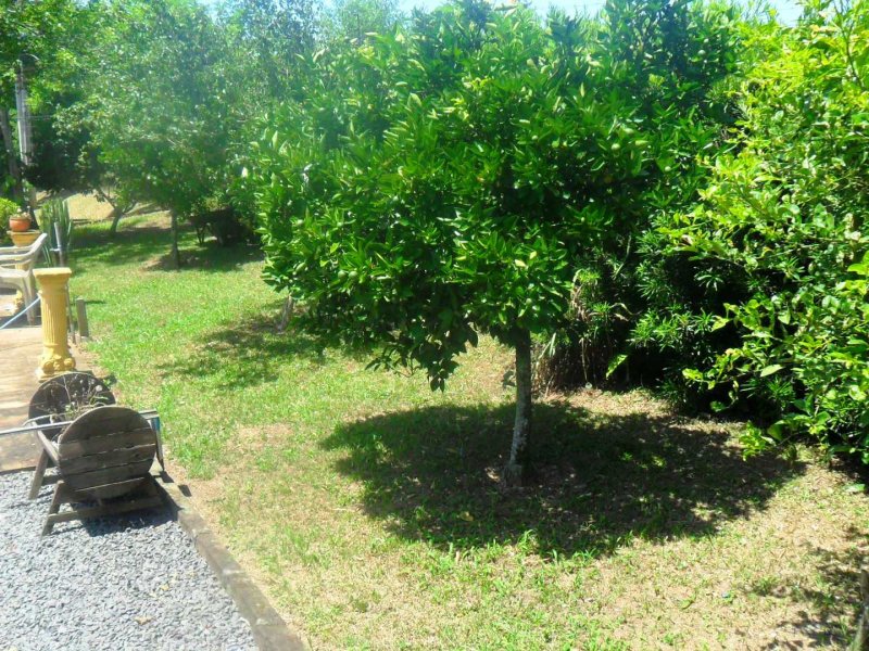 Sítio à venda centro com 1000m² e 2 quartos por R$ 260.000 - 935219428-sam-2859.JPG