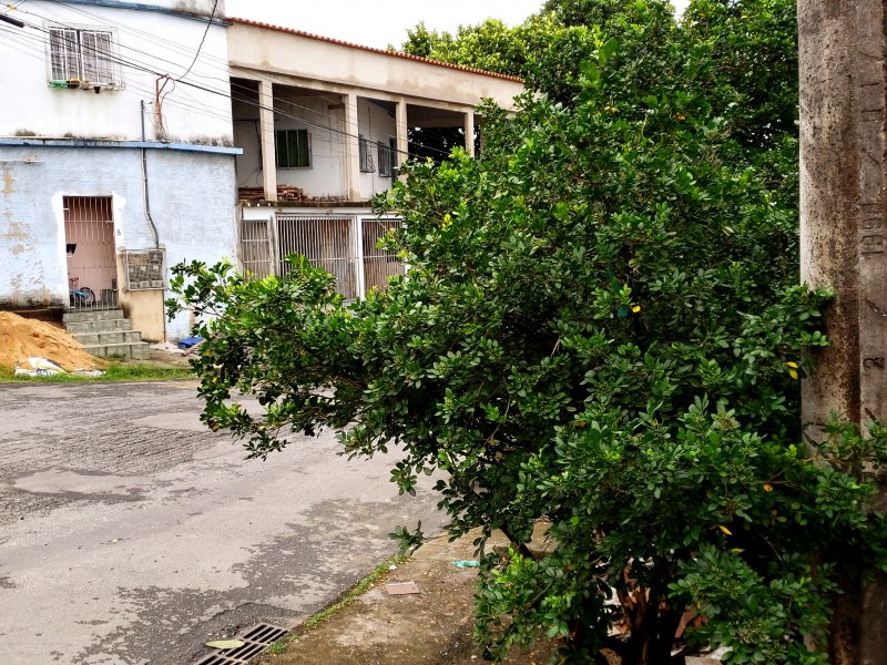 Terreno à venda Jardim Maria Inês com 231m² e 1 quarto por R$ 130.000 - 2085054441-20181208-152924.jpg