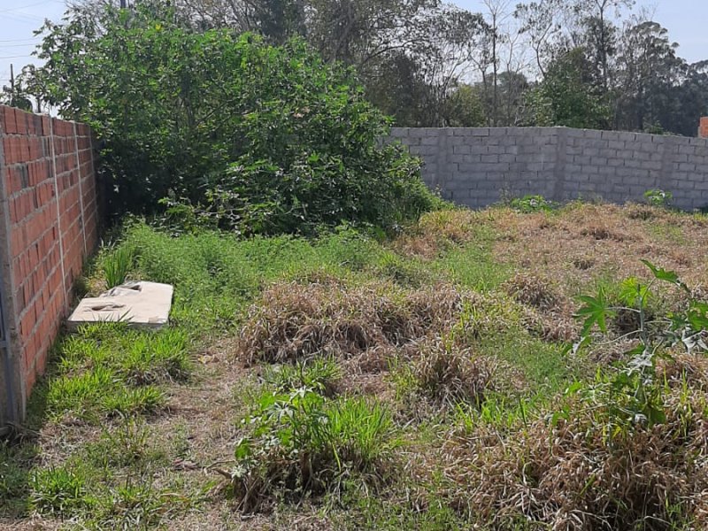 imóvel com 1350m² - Puris - Ibiúna