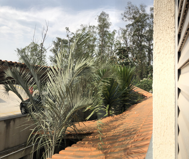 Apartamento à venda Parque São Vicente com 47m² e 2 quartos por R$ 240.000 - 275477916-image-50744321.JPG