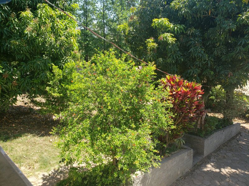 Casa de condomínio à venda Chácara Malota com 1120m² e 5 quartos por R$ 2.800.000 - 795613867-whatsapp-image-2021-09-23-at-12.jpeg