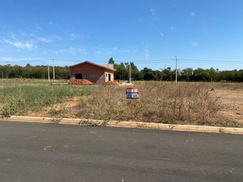 Terreno à venda Centro com 250m² e 1 quarto por R$ 60.000 - 2111060884-whatsapp-image-2021-09-11-at-13.jpeg