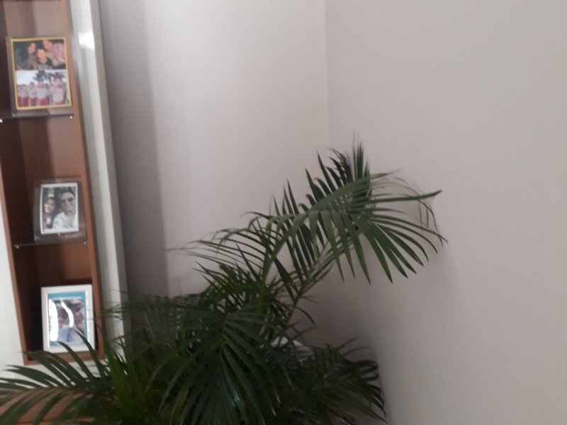 Casa de condomínio à venda Paranoá Parque (Paranoá) com 800m² e 5 quartos por R$ 1.300.000 - 1385036996-1632679761685264496211397086214.jpg