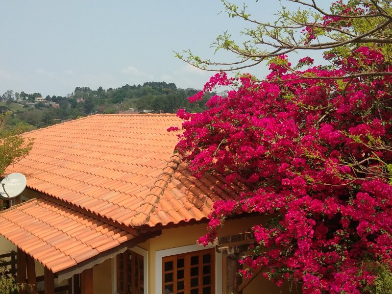 Chácara à venda Chácaras Fernão Dias com 1520m² e 5 quartos por R$ 850.000 - 346241614-p-20210926-122918.jpg