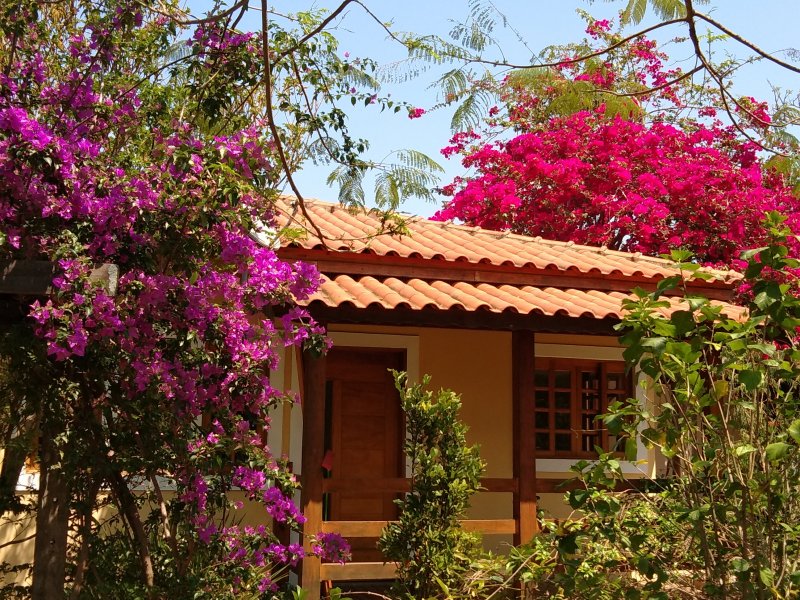 Chácara à venda Chácaras Fernão Dias com 1520m² e 5 quartos por R$ 850.000 - 889180641-p-20210919-112013.jpg