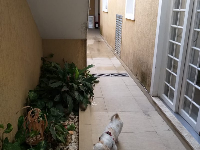 imóvel com 202m² - Jardim D'Abril - Osasco