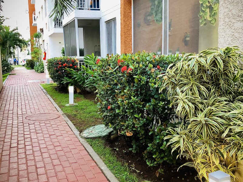 Apartamento à venda Anil com 50m² e 2 quartos por R$ 315.000 - 1214462065-f8b70c5d-e1d8-4582-93b9-477704def14a.jpeg