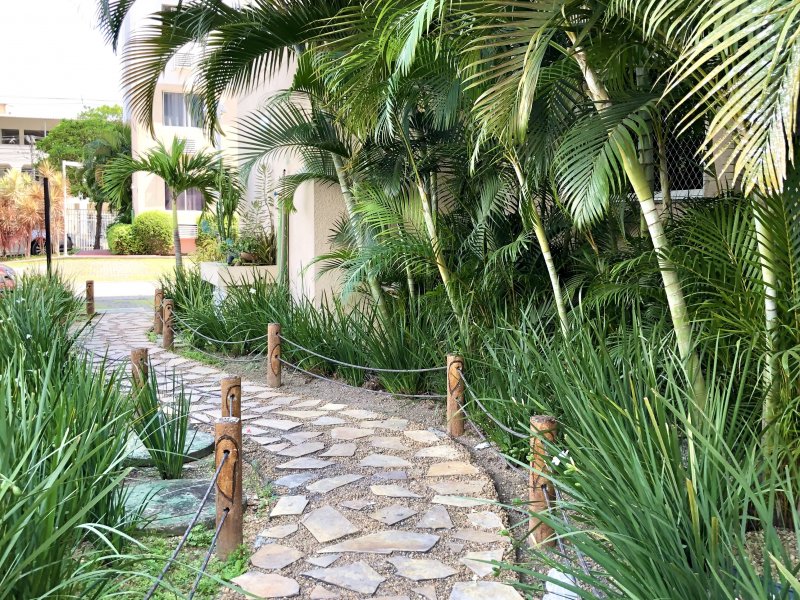 Apartamento à venda Anil com 50m² e 2 quartos por R$ 315.000 - 333501652-4121d6cc-477f-43df-ae9c-09f5e7aa73bc.jpeg