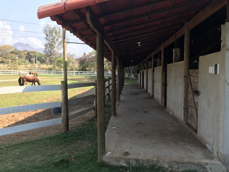 Sítio à venda Monte Sinai  com 4700m² e 3 quartos por R$ 690 - 868581068-fac668f4-98c8-4446-b85f-0861e8b4c964.jpeg
