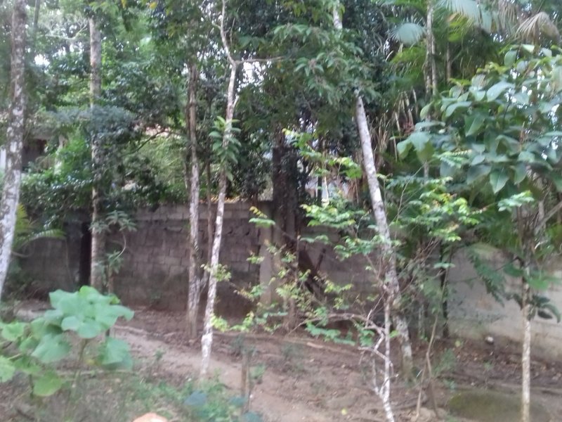 Casa à venda Cidade Jardim com 180m² e 3 quartos por R$ 399.999 - 2050851696-1920x1080-1783095940-20170727-163348.jpg