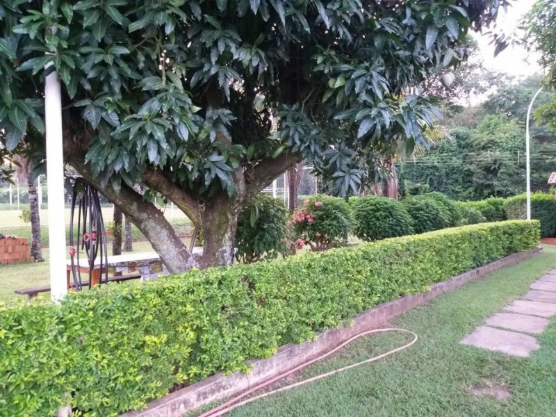 Chácara à venda Estância Éden Leste com 2000m² e 2 quartos por R$ 500.000 - 806318833-92d5b407-cbef-455e-884e-c765cff0bd32.jpg