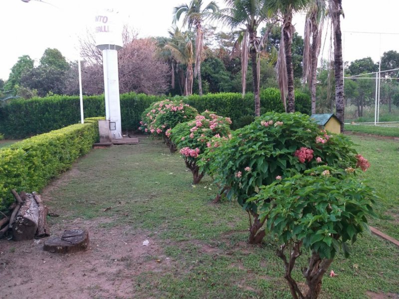 Chácara à venda Estância Éden Leste com 2000m² e 2 quartos por R$ 500.000 - 829213436-38f86b8b-4d9c-4a53-ae70-dbefa4992b83.jpg