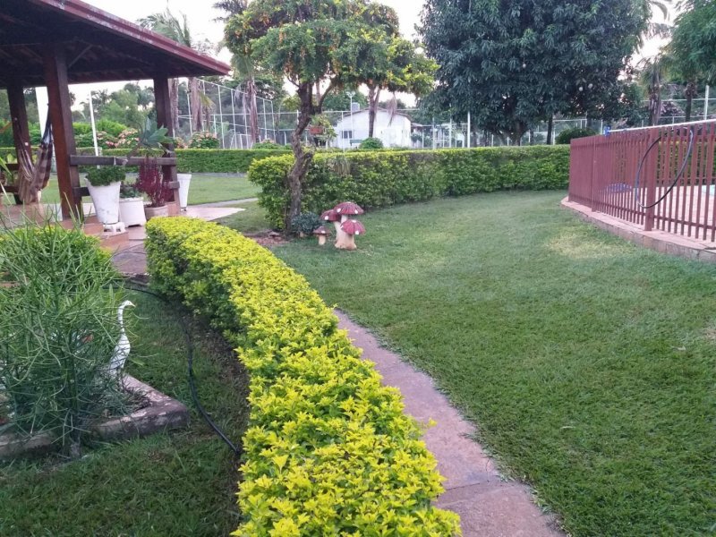 Chácara à venda Estância Éden Leste com 2000m² e 2 quartos por R$ 500.000 - 92352584-a33bfc61-5610-463e-b3a7-439898bb6510.jpg