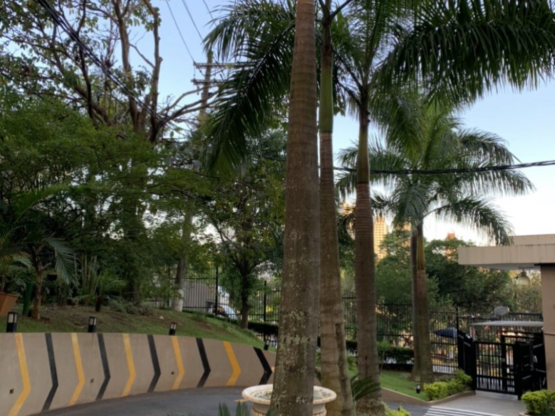 Apartamento à venda Chácara Agrindus com 110m² e 3 quartos por R$ 550.000 - 7334708-1c0eb791-5484-494e-868f-d1613dbf2136.jpeg