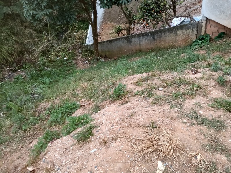 Terreno à venda Cachoeira com 355m² e 1 quarto por R$ 80.000 - 1677659962-img-20210801-095243888-hdr.jpg