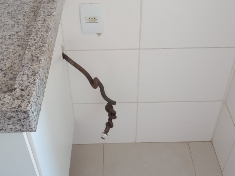 Apartamento à venda Jardim Bela Vista com 58m² e 2 quartos por R$ 439.000 - 585527587-img-20210929-wa0040.jpeg