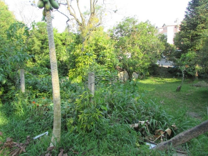 Terreno à venda N. Sra. das Gracas com 1320m² e 1 quarto por R$ 690.000 - 230167567-casa-27.jpg