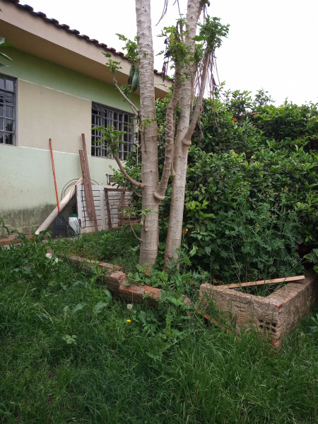 Casa à venda Campo Pequeno com 50m² e 3 quartos por R$ 250.000 - 1735998790-img-20210930-095248254.jpg