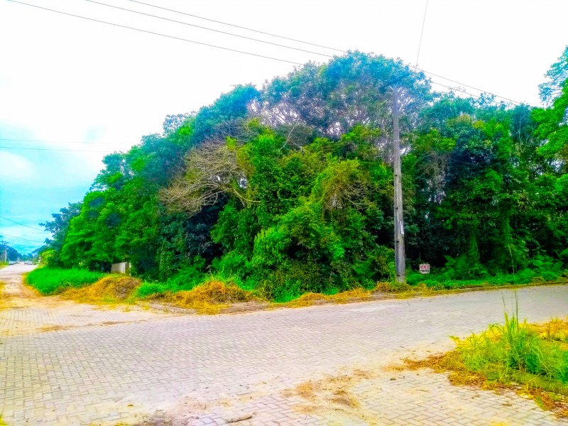 Terreno à venda Centro com 420m² e 1 quarto por R$ 198.000 - 1086814594-img-20191101-102638308-burst0034.jpg