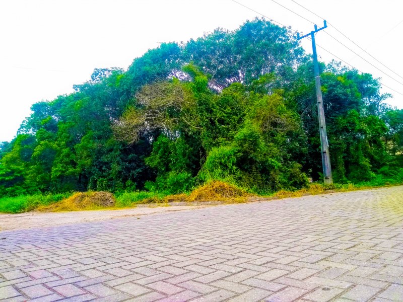 Terreno à venda Centro com 420m² e 1 quarto por R$ 198.000 - 1395118124-img-20191101-102654137-burst0063.jpg