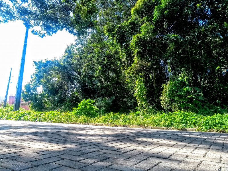 Terreno à venda Centro com 420m² e 1 quarto por R$ 198.000 - 560707424-img-20190402-153757272.jpg